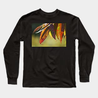 Nature's points of view Long Sleeve T-Shirt